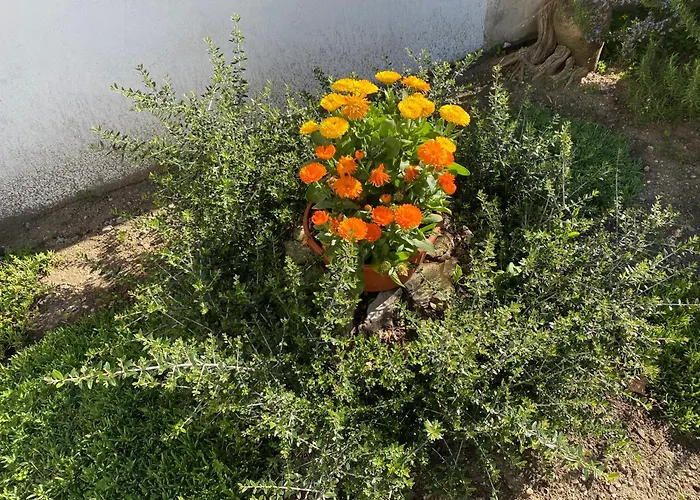Apartamento Il Cortile Di Adele Castelletto sopra Ticino
